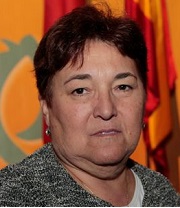 FANTONGSAS