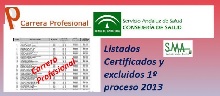LCECARPROF